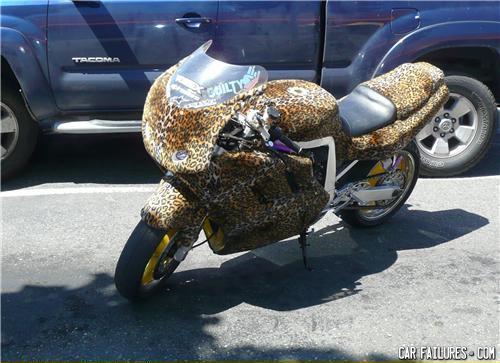  - Homosexual tendencies. The owner has them